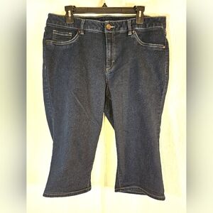 d. jeans 18W Denim 16.5 Inseam Stretch Shorts